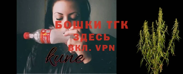 дмт Алексин