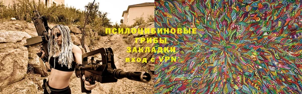 дмт Алексин