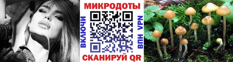 Псилоцибиновые грибы ЛСД  МЕГА маркетплейс  Кола 